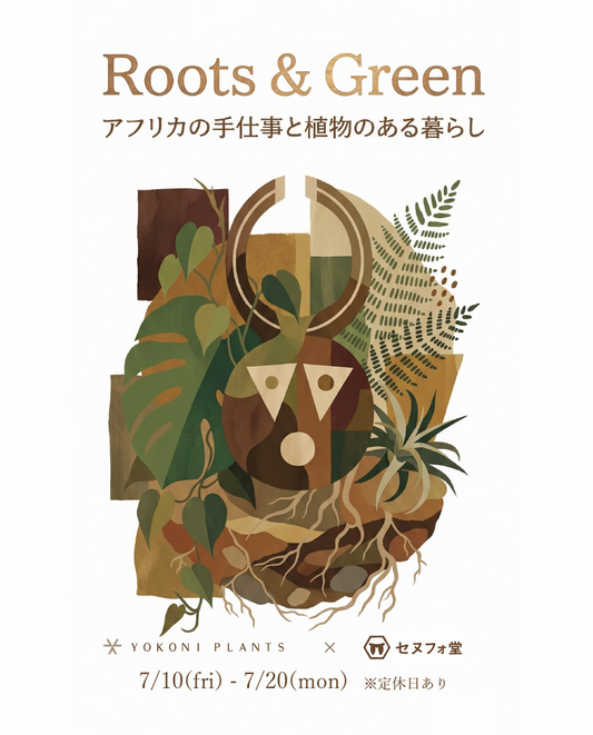 YOKONIPLANTSがRoots & Green 2026を開催、セヌフォ堂のアフリカ民具と植物提案が店内に登場