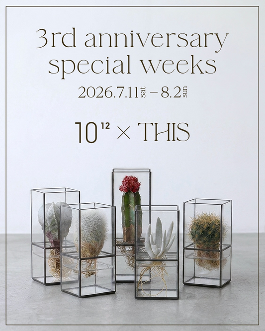 THIS BREWINGが3rd anniversary special weeks 2026を開催、10¹² TERRAとの記念コラボを実施