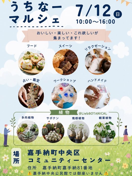 うちなーマルシェ2026が嘉手納町で開催、LiebBOTANICALが塊根植物やサボテンを販売