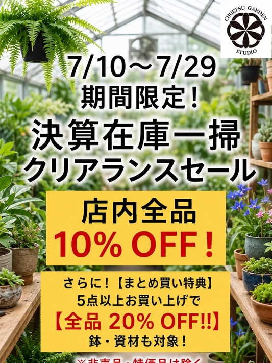 中越植物園が決算在庫一掃セール2026を開催、植物や鉢や資材がまとめ買いで20%OFFに