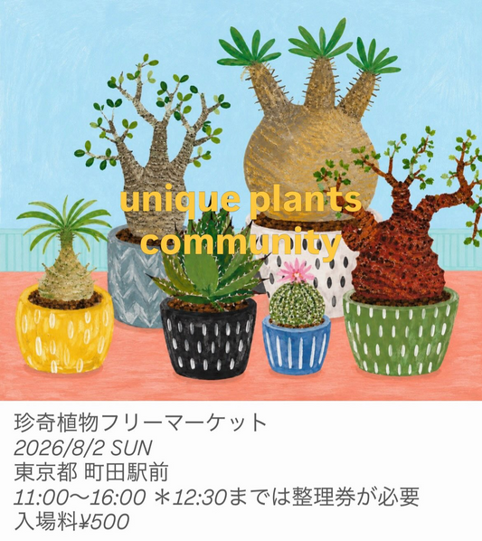 珍奇植物フリーマーケット2026が町田パリオで開催、一般愛好家の植物と作品が町田駅前に集結