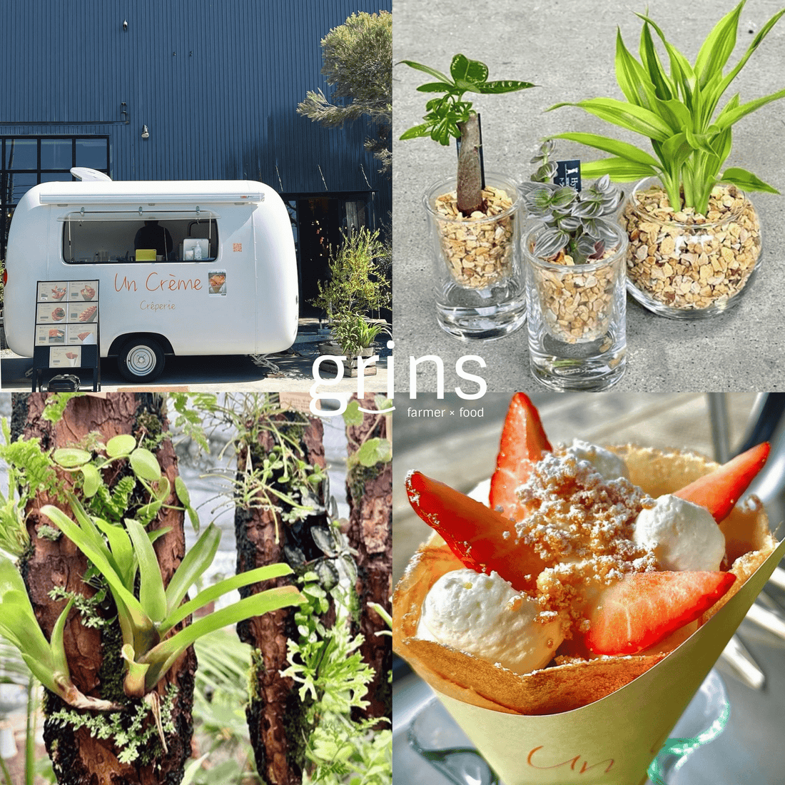garageTOYOHASHIがgrins2026を開催、GreenWalkの観葉植物とuncrèmeのフードを豊橋で提供