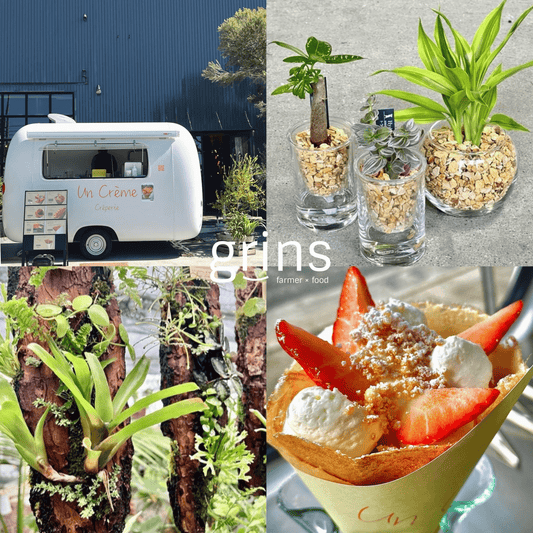 garageTOYOHASHIがgrins2026を開催、GreenWalkの観葉植物とuncrèmeのフードを豊橋で提供