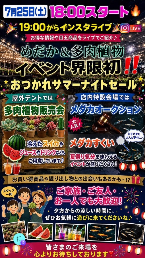 農花がおつかれサマーナイトセール2026を開催、多肉植物販売とメダカ企画を夏の夜に実施