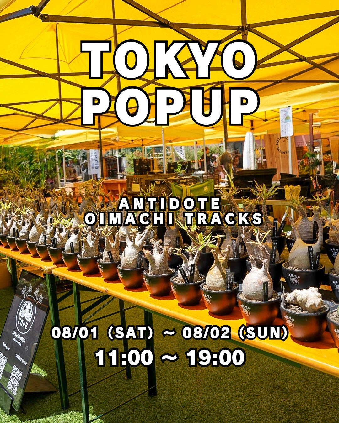 CODEが初の単独東京POPUP2026を開催、P.グラキリスと限定グッズを大井町で販売