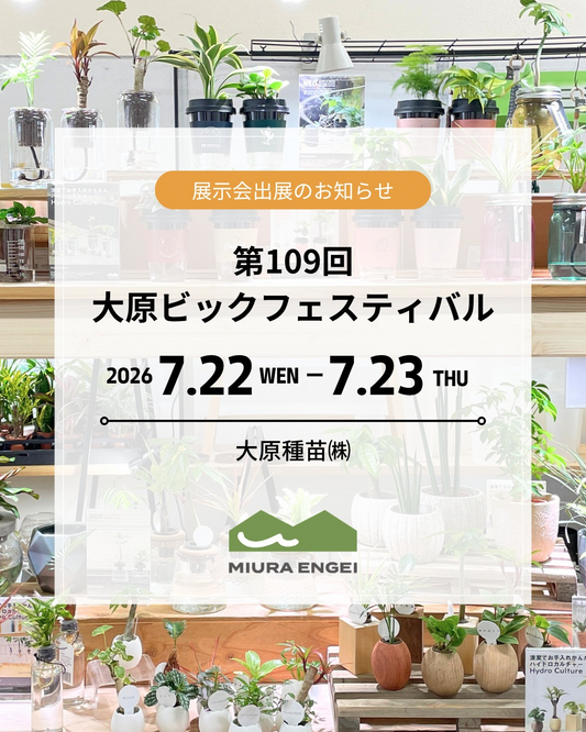 三浦園芸が第109回大原ビックフェスティバル2026へ出展、新商品とレア観葉植物を京都で展示