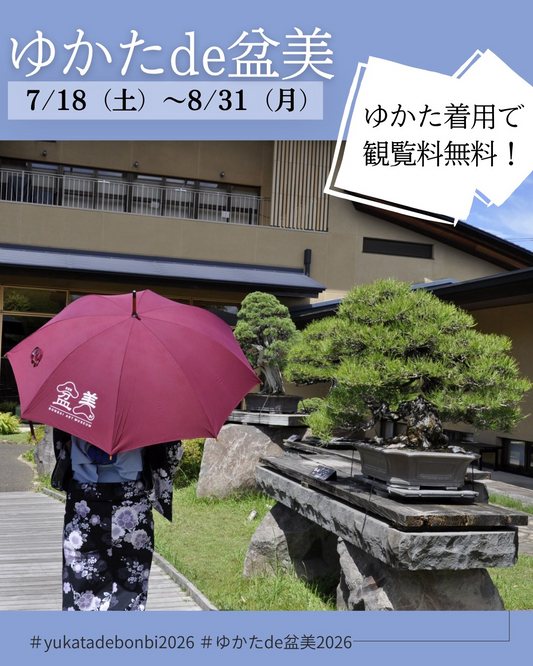 さいたま市大宮盆栽美術館がゆかたde盆美2026を開催、和服着用者の観覧料を無料に