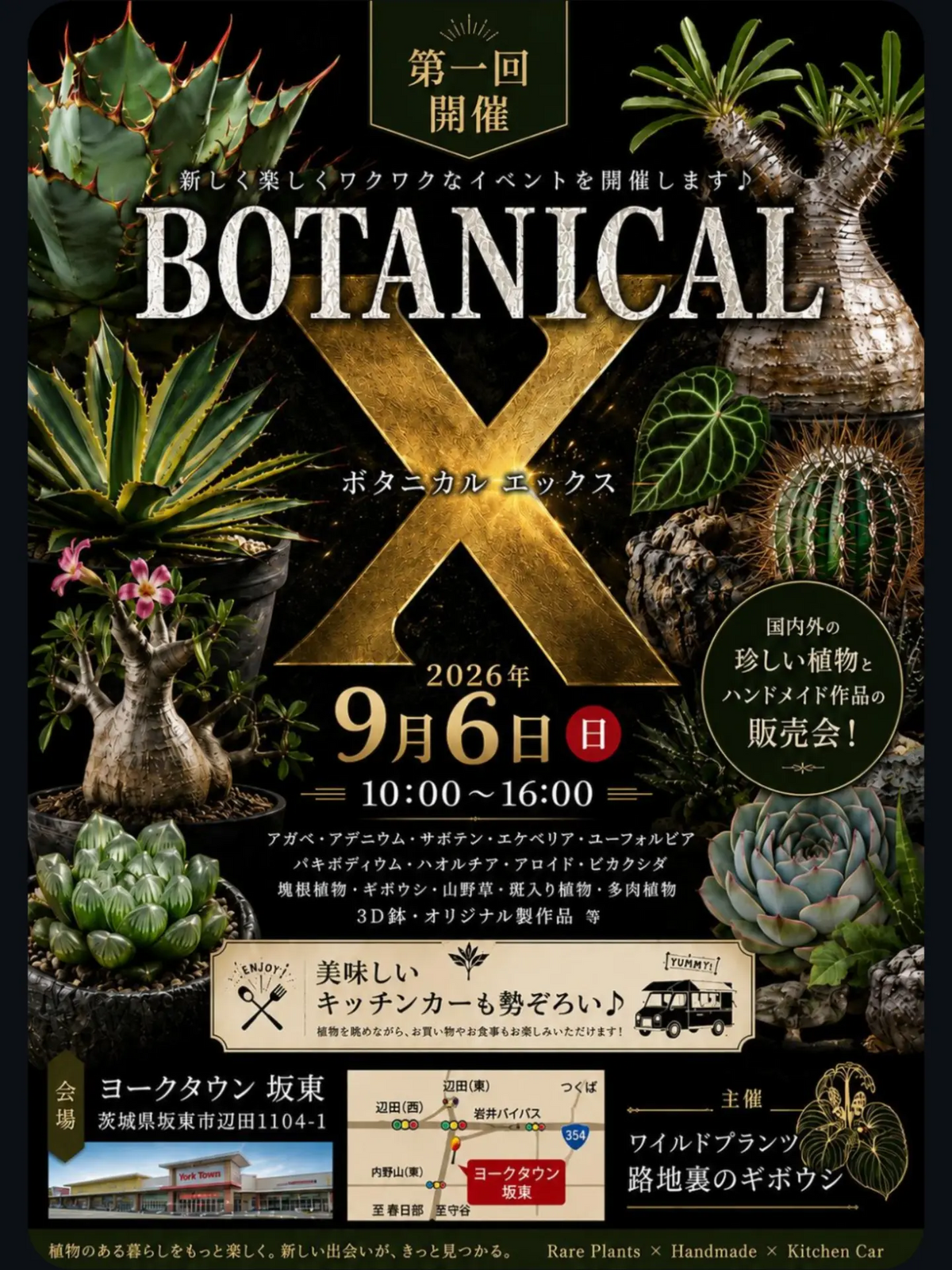 植欲のかたまり。※プロフ要確認※様 リクエスト 2点 まとめ商品 ワイルドプランツ路地裏のギボウシが第1回ボタニカルX2026を開催
