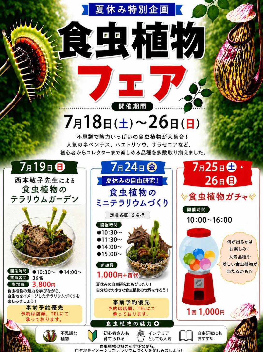 アカツカFFCパビリオンが夏休み特別企画食虫植物フェア2026を開催、テラリウム制作や植物ガチャを津市で展開