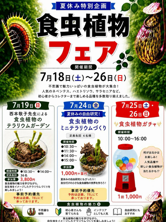 アカツカFFCパビリオンが夏休み特別企画食虫植物フェア2026を開催、テラリウム制作や植物ガチャを津市で展開