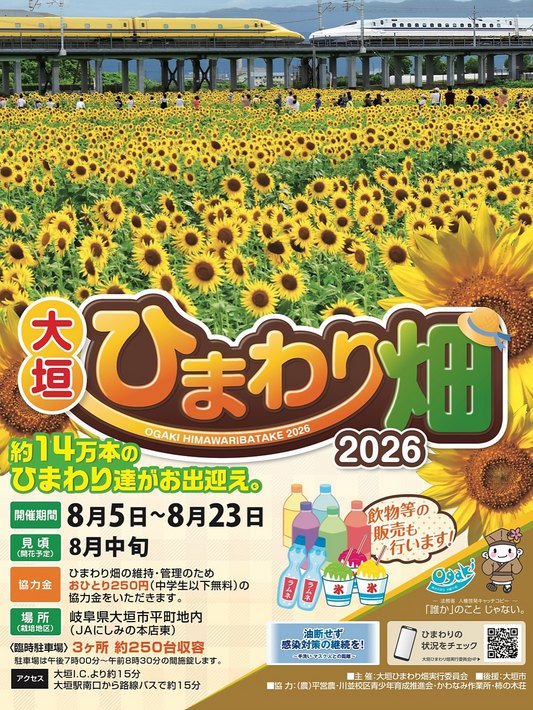 大垣ひまわり畑実行委員会が大垣ひまわり畑2026を開催、約14万本のヒマワリが大垣市平町を彩る