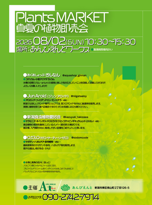 水草と美魚の店A.tがPlantsMarket真夏の植物即売会2026を開催、アロイドや食虫植物と多肉植物を新潟市で販売