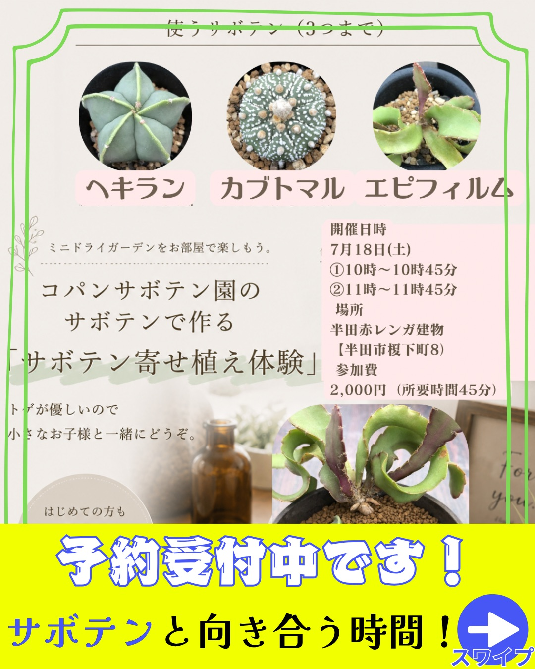 コパンサボテン園がサボテン寄せ植え体験2026を開催、初心者と子ども向けの45分制作を半田市で実施 - リーフラ編集部