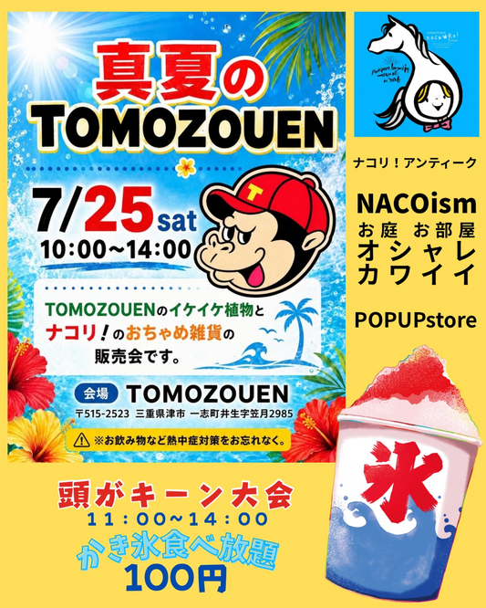 TOMOZOUENが真夏のPOPUPstore2026を開催、多肉植物とアンティーク雑貨やかき氷企画を津市で展開