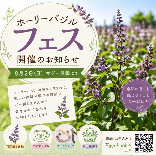 マグー農園が第2弾ホーリーバジルフェス2026を開催、花芽摘みやペースト作りとアクセサリー制作を実施