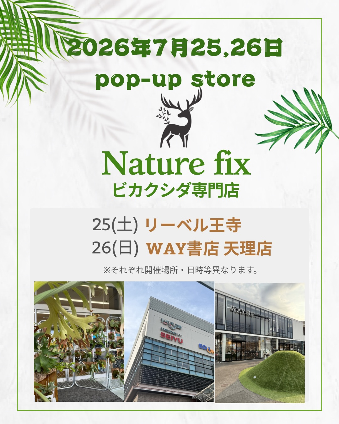 Naturefixがビカクシダ専門店popupstore2026を開催、オンライン販売の Naturefixがビカクシダ専門店popupstore2026を開催、オンライン販売の