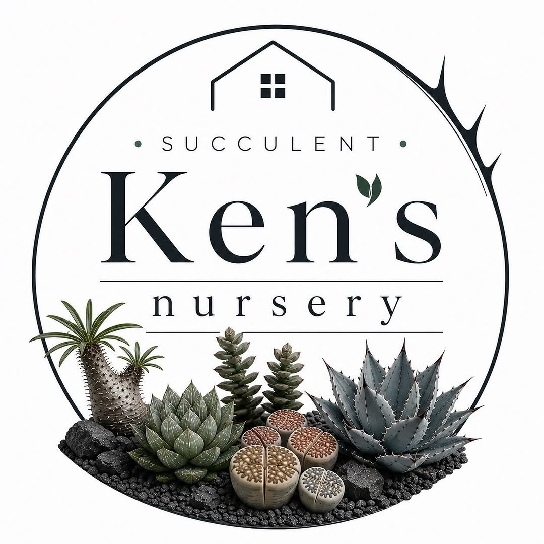 インターフラワーデザインズが夏の企画展植物とドライフラワー2026を開催、Ken’snurseryが限定植物を展開