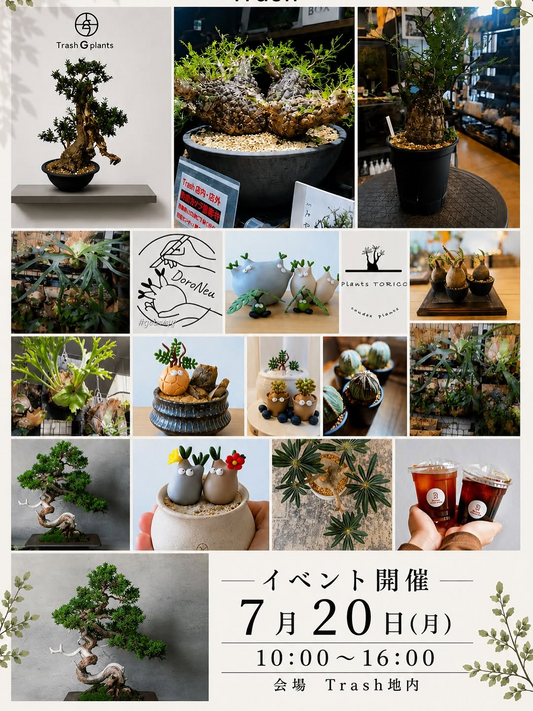 AQUAPLANTSSHOPTrashがTrashイベント2026を開催、植物や盆栽とコーヒーを店内外で販売