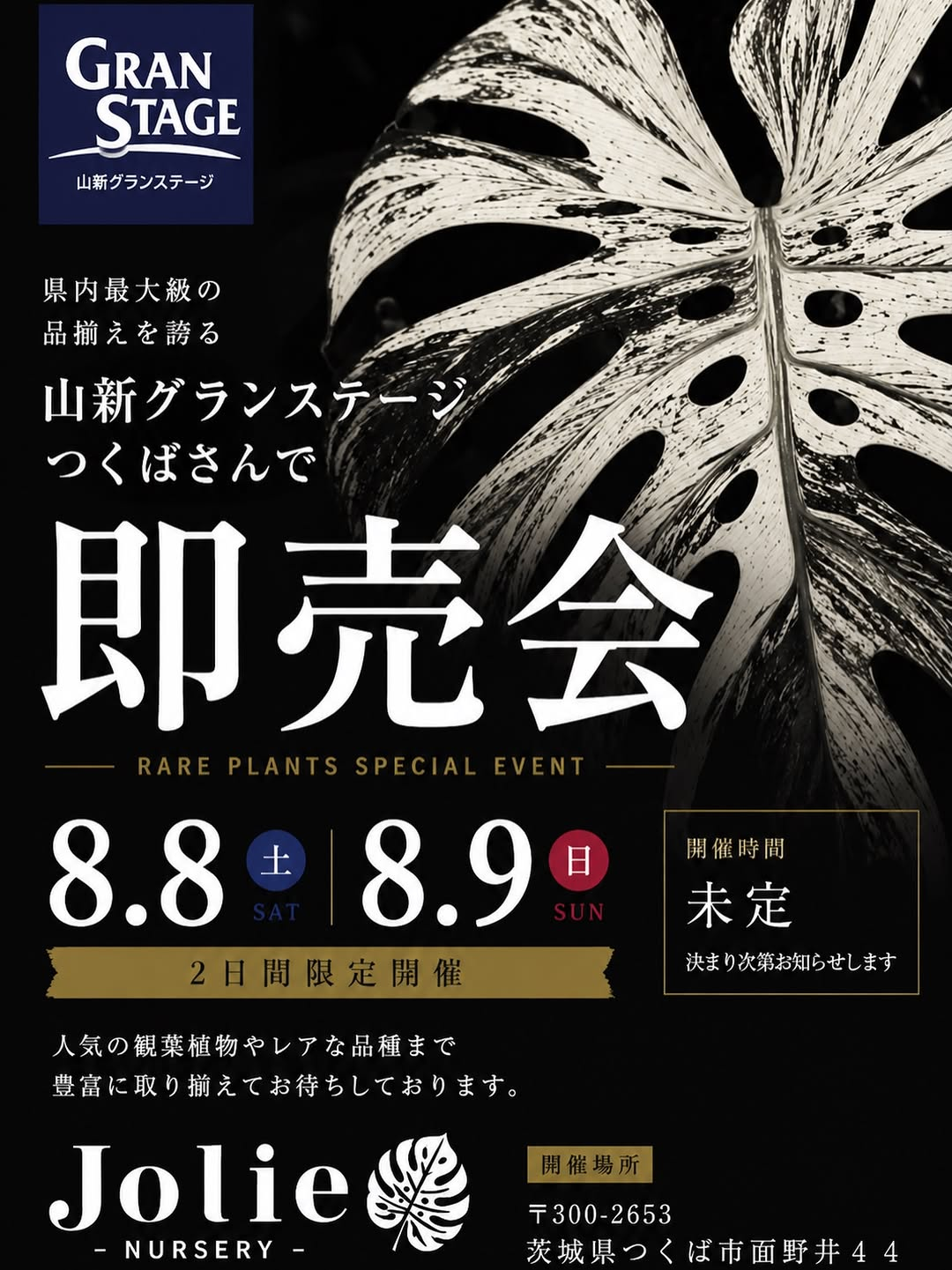 JolieNurseryが山新グランステージつくばで即売会2026を開催、レアアロイドや斑入り植物を販売