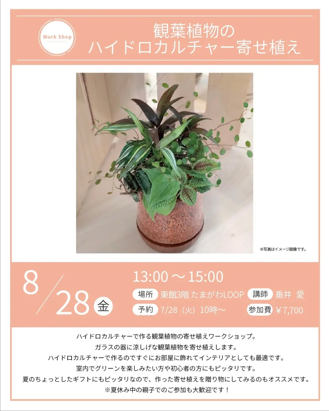 玉川高島屋で観葉植物のハイドロカルチャー寄せ植えワークショップ2026を開催、初心者や親子も参加可能