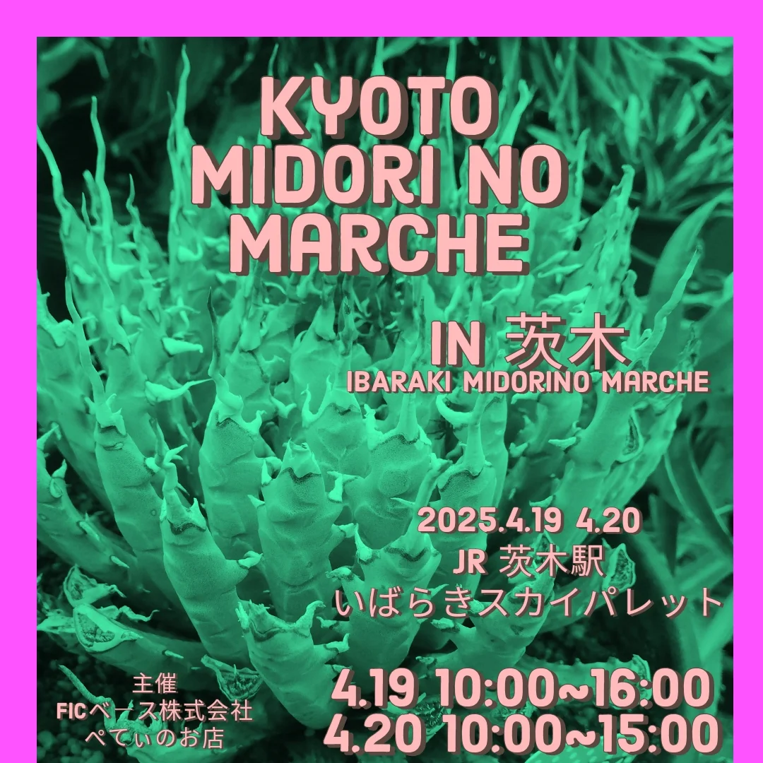 KYOTO MIDORI NO MARCHE IN 茨木が開催決定、40店舗以上の植物専門店が集結し塊根植物やサボテンの展示販売を実施