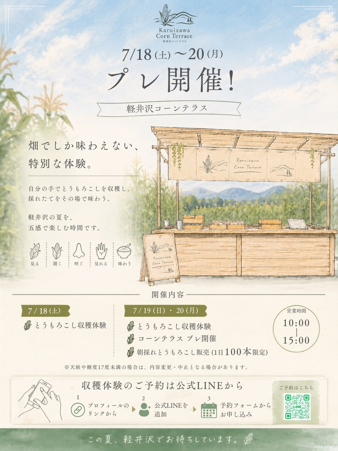 軽井沢コーンテラスプレ開催2026が収穫体験を実施、朝採れとうもろこしを各日100本限定で販売