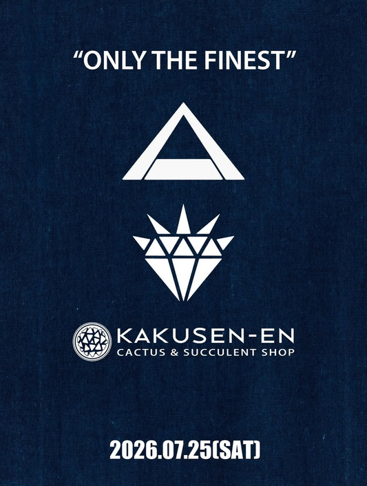 一仙とspicygemがONLYTHEFINEST2026を開催、厳選サボテンと陶器鉢の限定商品を鶴仙園で販売