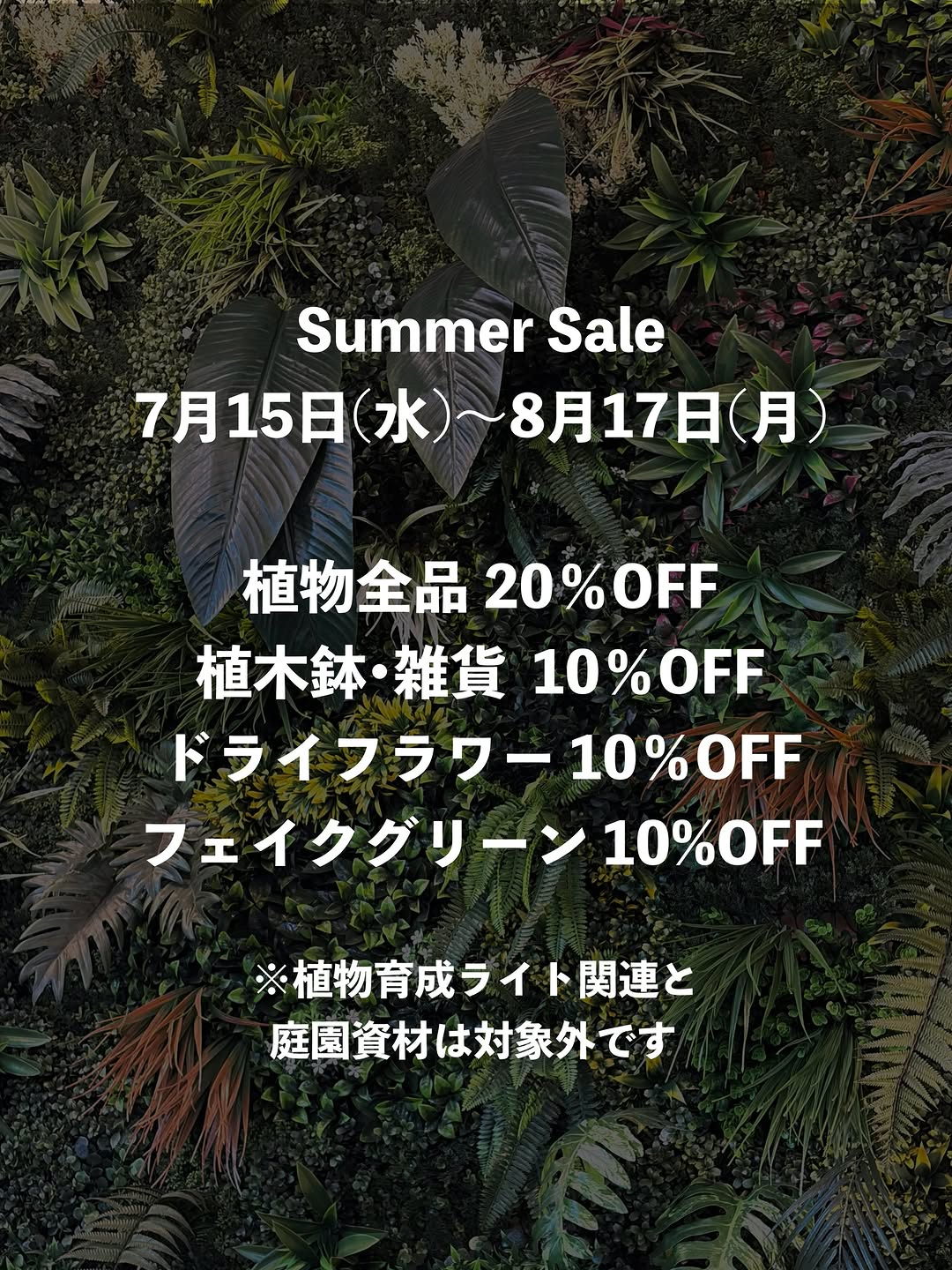 THEGROVESTOREがSummerSale2026を2店舗で開催、植物全品と園芸雑貨を割引販売