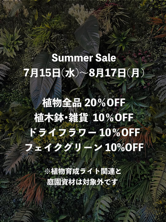 THEGROVESTOREがSummerSale2026を2店舗で開催、植物全品と園芸雑貨を割引販売