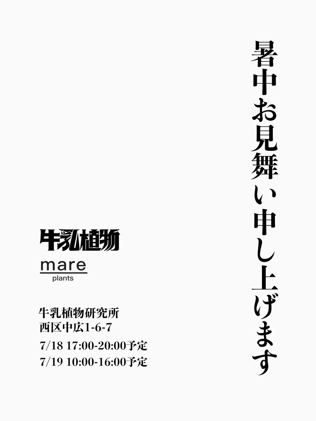 牛乳植物とmareplantsが即売会2026を開催、アガベとビカクシダや鉢を広島で販売