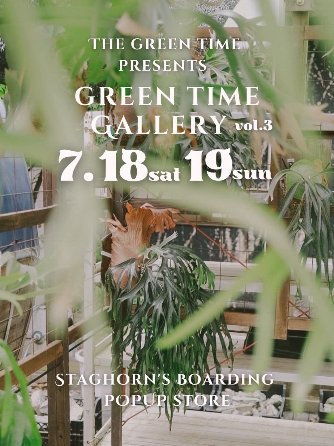 THEGREENTIMEGALLERYvol.3が2026年に開催、ビカクシダの仕立て直しと植物販売を実施