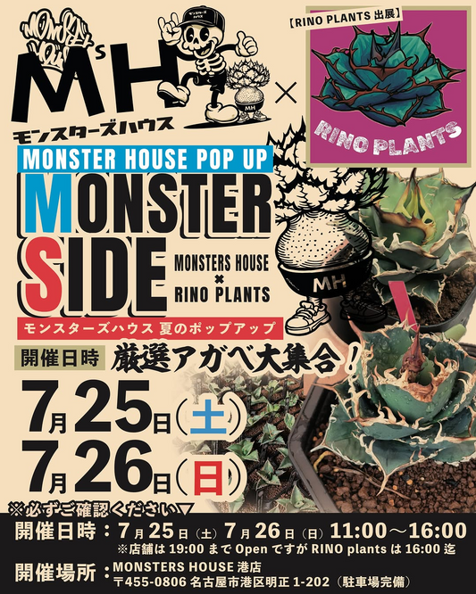 MONSTERSHOUSEPOPUPEVENT2026が開催、RINOPLANTSの厳選アガベを名古屋で展示販売