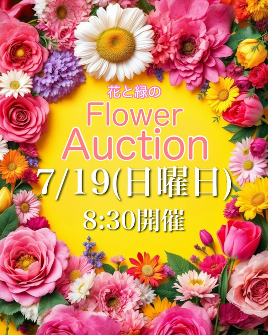 FUKUOKAEFFECTが花と緑のフラワーオークション2026を開催、植物の説明を聞いて価格を付ける参加型イベント