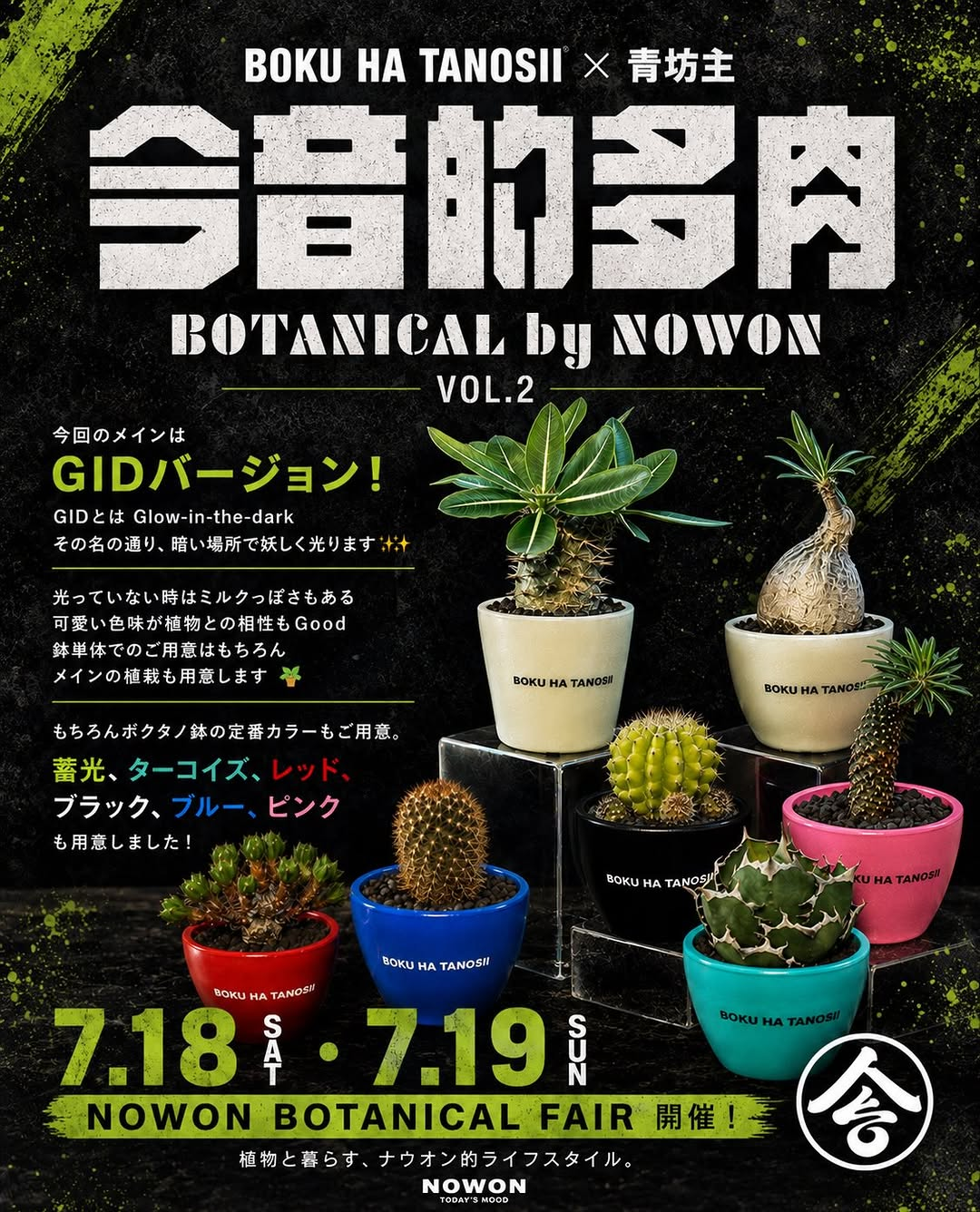 今音的多肉2026がNOWONで開催、BOKUHATANOSIIと青坊主の光るGIDコラボ鉢を販売