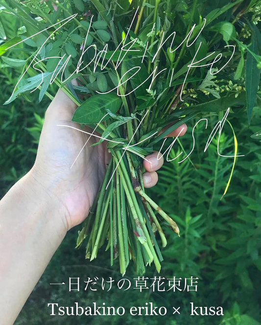 Tsubakinoerikoとkusaが一日だけの草花束店2026を開催、夏草を生かした数量限定の花束を販売