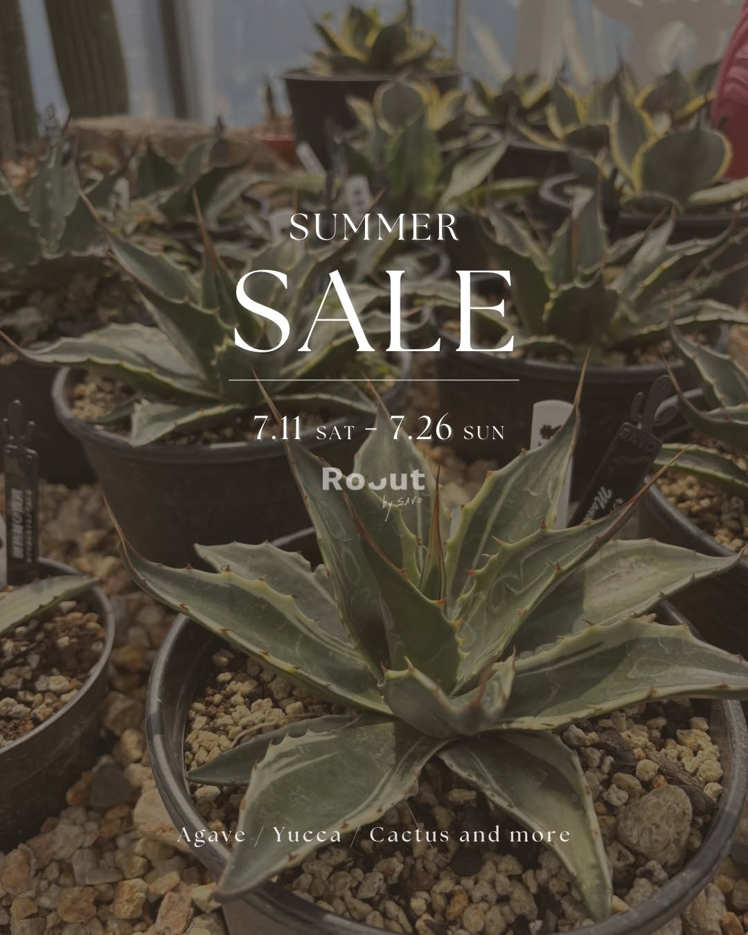 RooutbySAVOがSUMMERSALE2026を開催、植物と雑貨を最大50％オフで販売