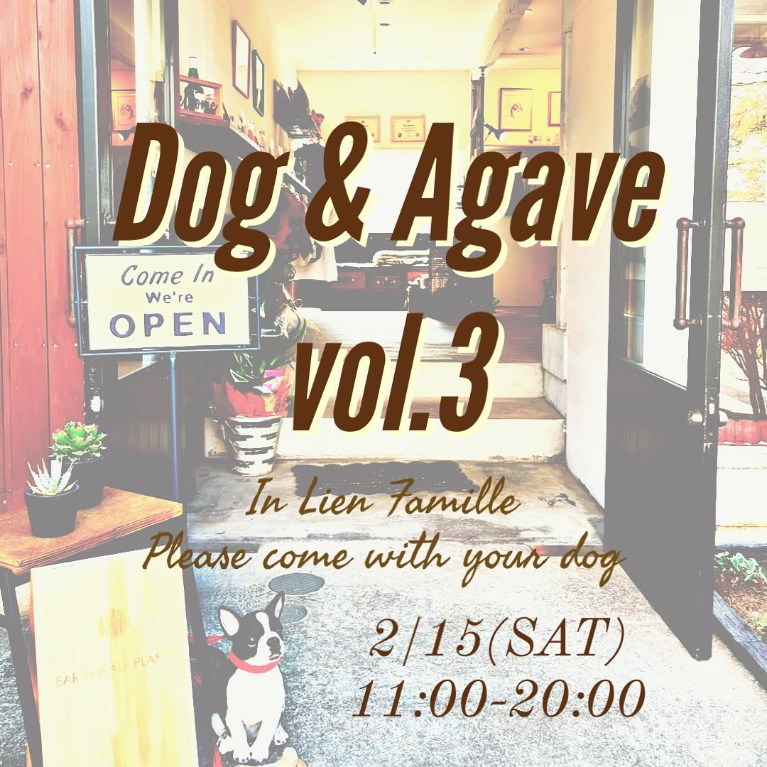 流しの植物屋EARTHWALKがDog & Agave vol.3を福岡市内で開催、ペット同伴可能なアガベ販売イベントとして新たな展開へ