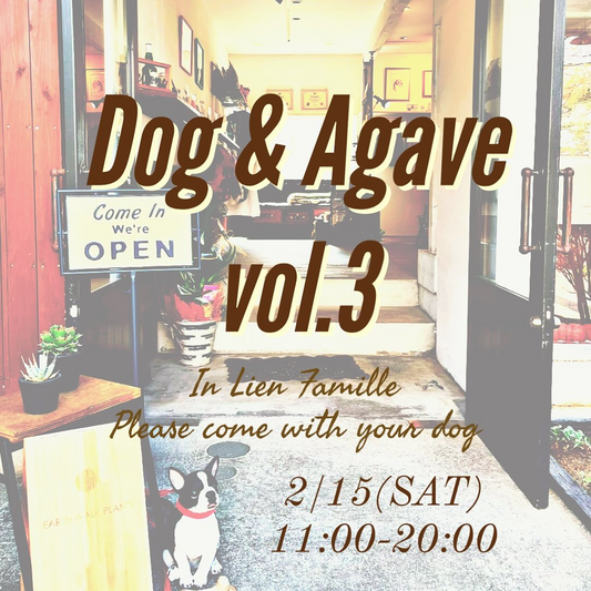 流しの植物屋EARTHWALKがDog & Agave vol.3を福岡市内で開催、ペット同伴可能なアガベ販売イベントとして新たな展開へ