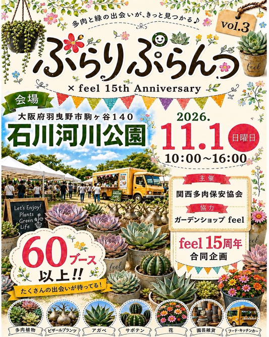 ふらりぷらんvol.3×feel15thAnniversary2026が開催、植物と雑貨と飲食の60ブース以上が石川河川公園に集結