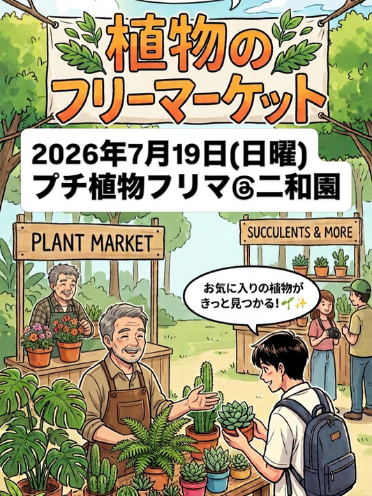 二和園で植物のフリーマーケット2026を開催、ハオルチアやビカクとモンステラを共同販売