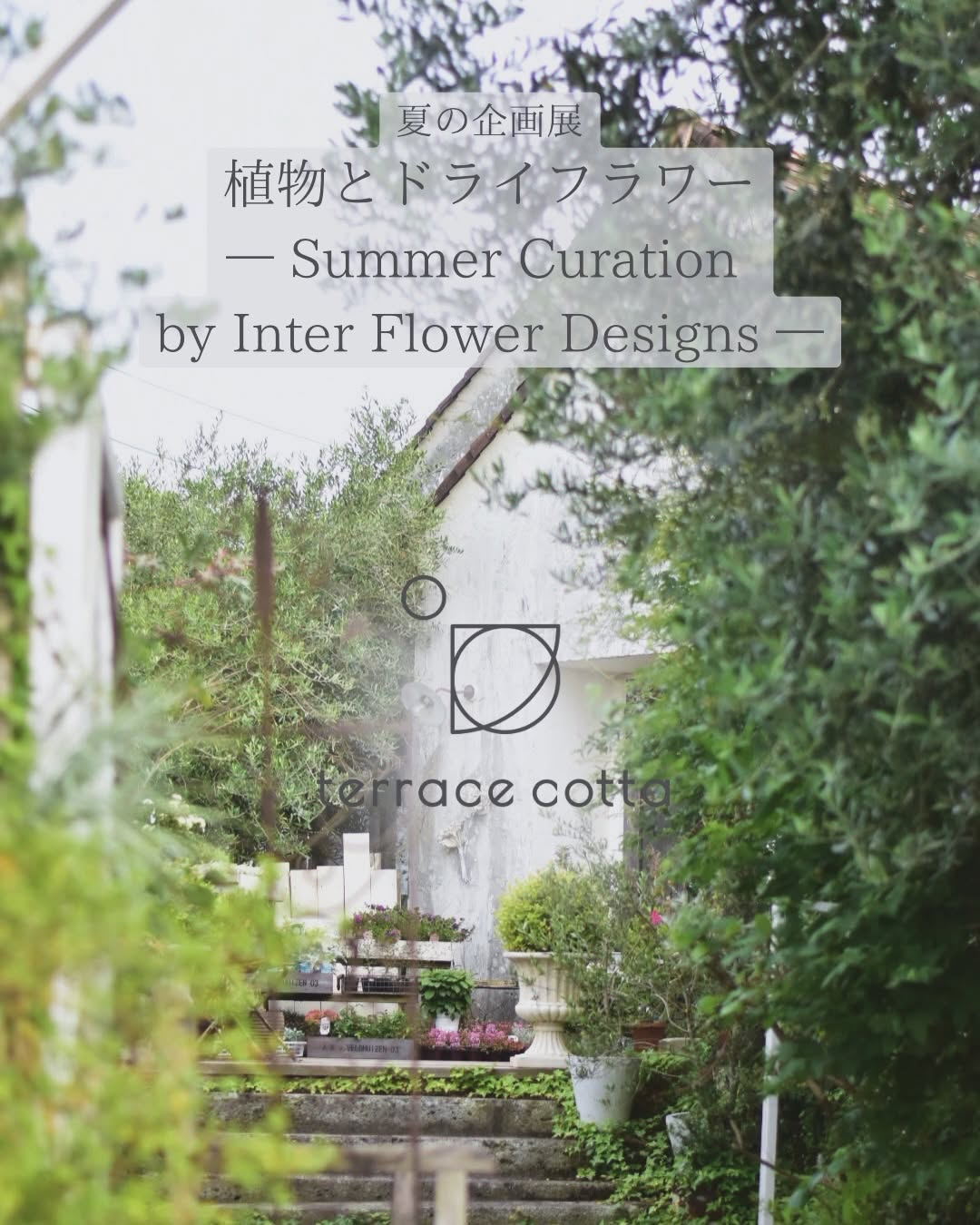 インターフラワーデザインズが夏の企画展2026を開催、植物とドライフラワーに照鉢作品が加わる