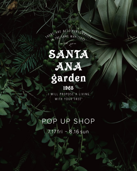 withSANTAANAgarden1965が2026年にPOPUPSHOPを開催、個性ある植物と家具の組み合わせを提案