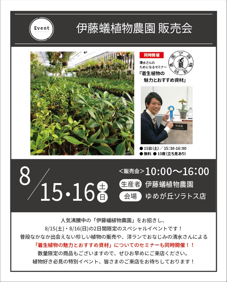 伊藤蟻植物農園が販売会&ワークショップ2026を開催、アリ植物の販売と板付体験を横浜で実施