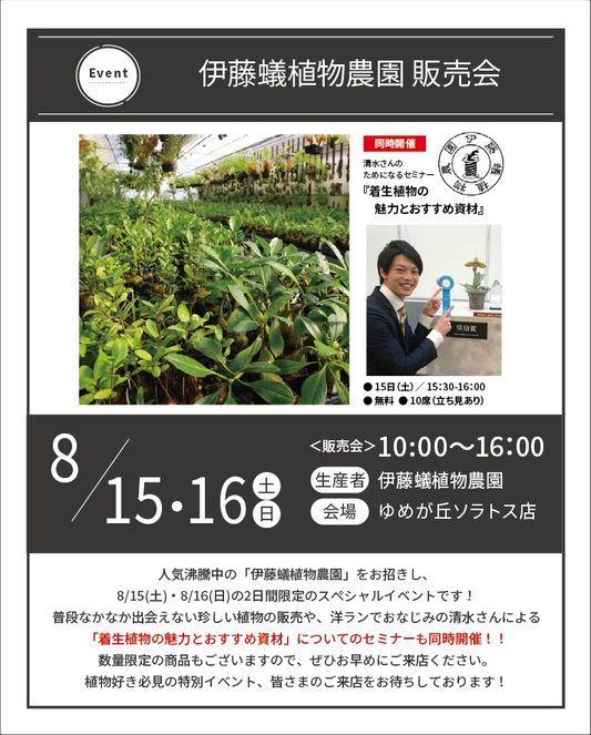 伊藤蟻植物農園が販売会&ワークショップ2026を開催、アリ植物の販売と板付体験を横浜で実施