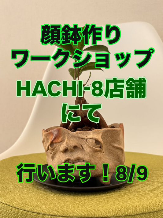 山口巧が顔鉢作りワークショップ2026をHACHI-8で開催、本人指導の特別企画を2部制で実施