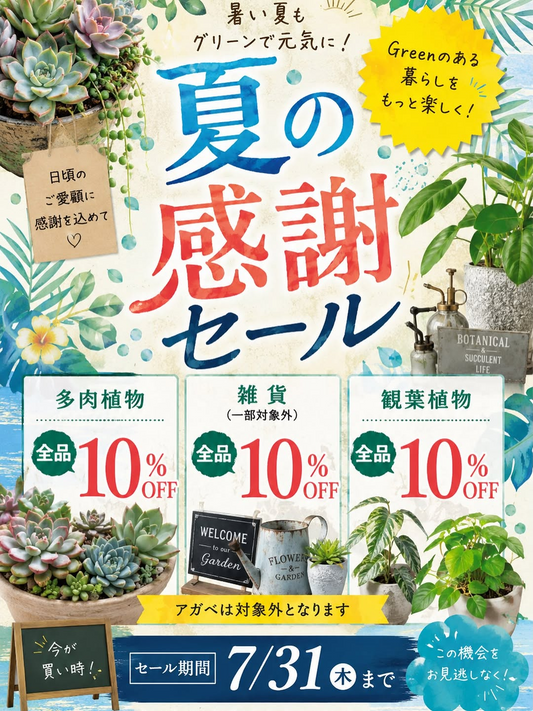 plants funshop naturがナチュラ夏の感謝セール2026を開催、多肉植物と観葉植物を全品10%OFFで販売