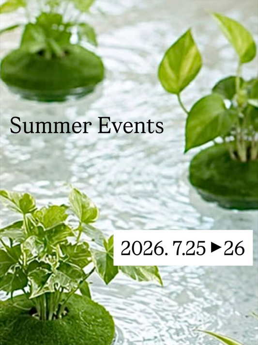 マルニガーデンがSummerEvents2026を開催、切り花オージープランツと夏の体験企画を展開