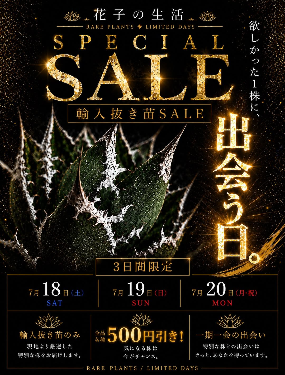 花子の生活が輸入AGAVE抜き苗SPECIALSALE2026を開催、白鯨や阿修羅などを全品500円引きで販売