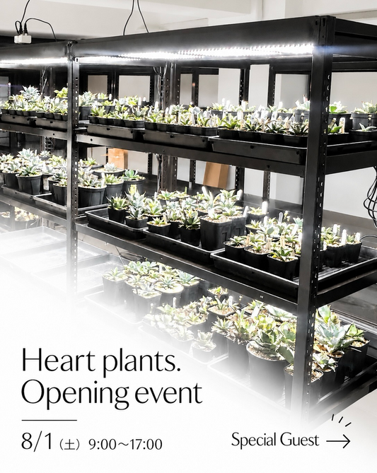 ハートプランツがOpeningevent2026を大阪で開催、特別ゲスト3組が非公開会場に参加