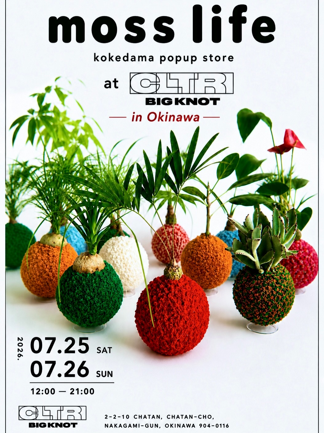 mosslifeが沖縄で2026年苔玉popupstoreを開催、毛糸で包んだ一点物の観葉植物がBIGKNOTに登場
